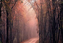 开云官网：OPTA列本赛季欧协联夺冠概率：切尔西大幅领跑，贝蒂斯第三.