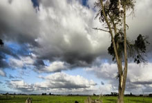 开云官网:水花兄弟!库里单赛季2次投进12+三分 追平克莱并列历史第一.