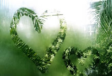 篮球公园中国篮球名人堂训练课.