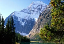 开云官网：国乒回应了！严肃对待、及时总结！央视财经.